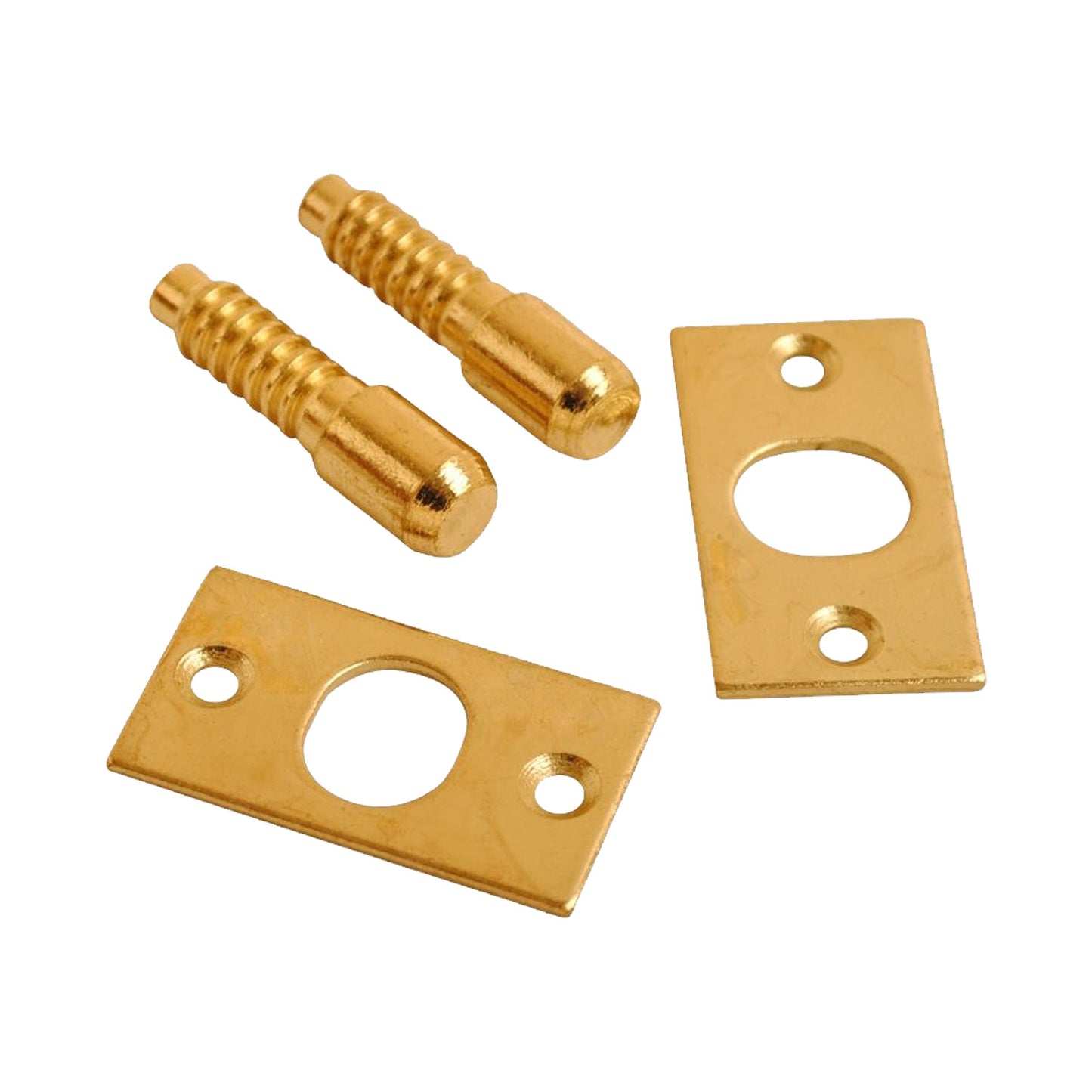 Steel Hinge Bolts (1 pair)