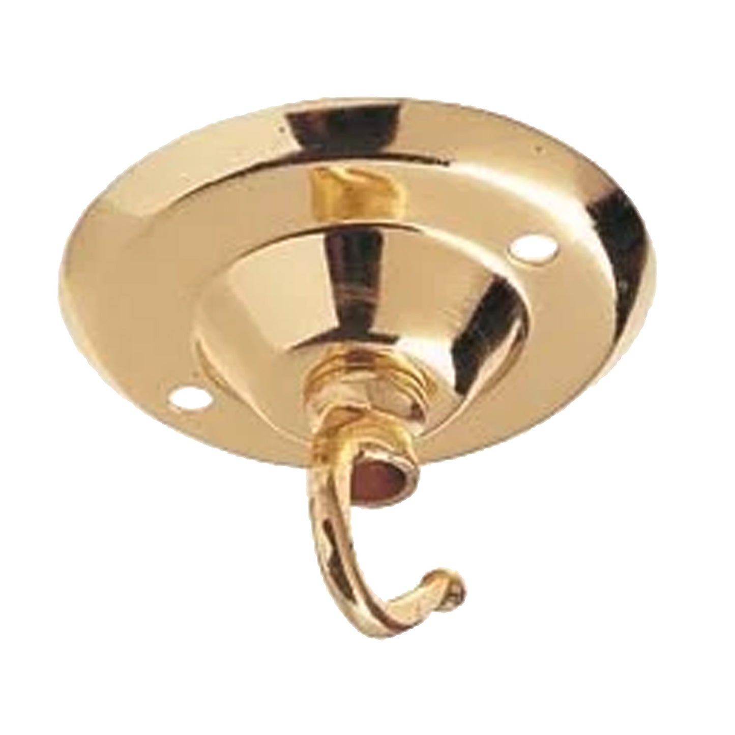 Ceiling Hook