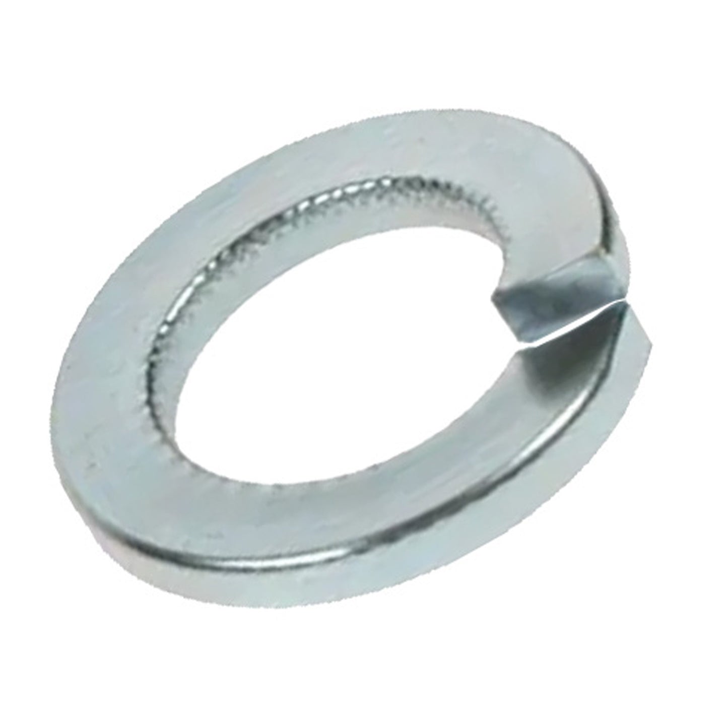 Spring Washer (Sold as singles)