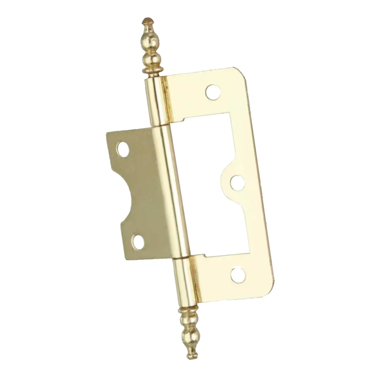 Flush Hinge (1 pair)