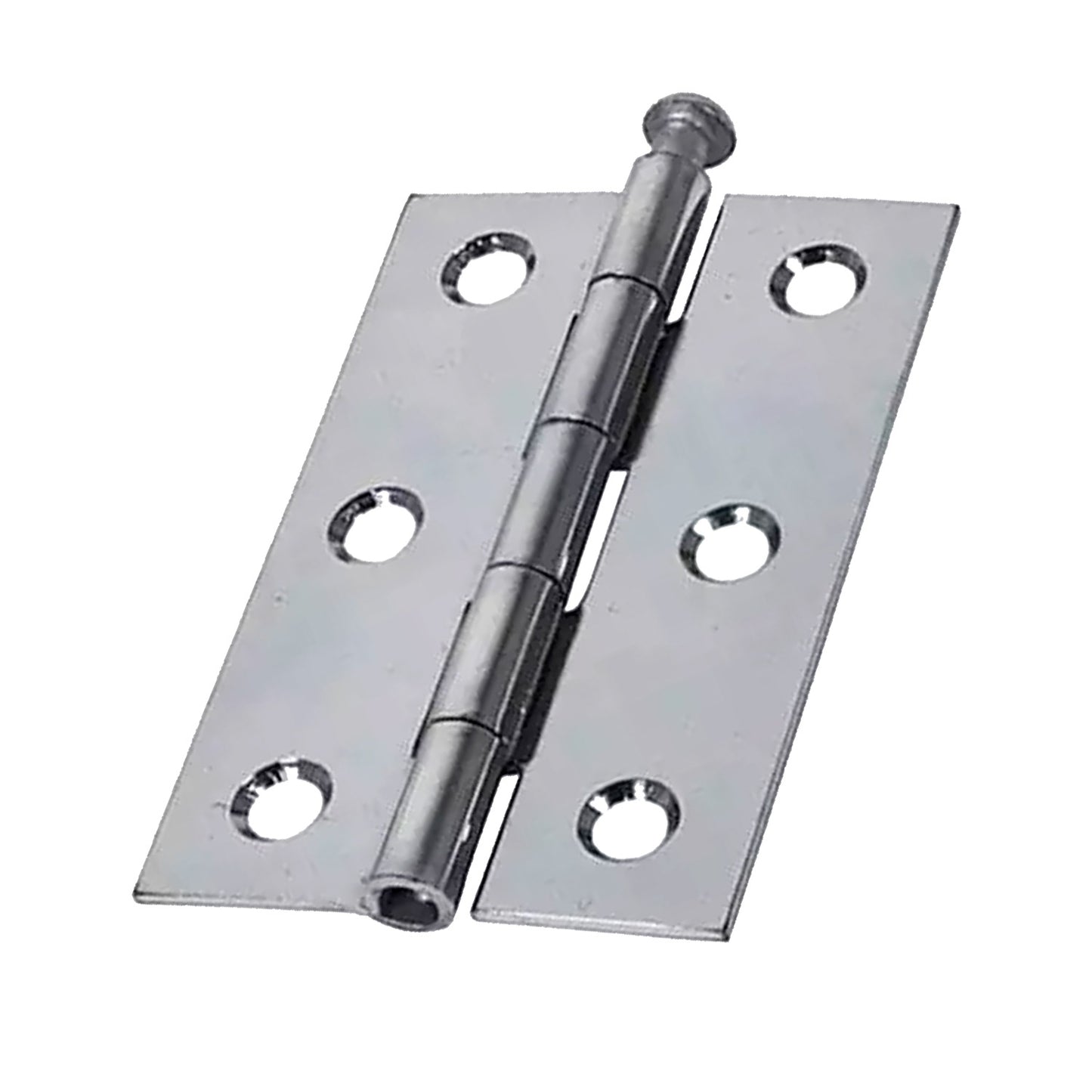 Loose Pin Butt Hinge (1 pair)