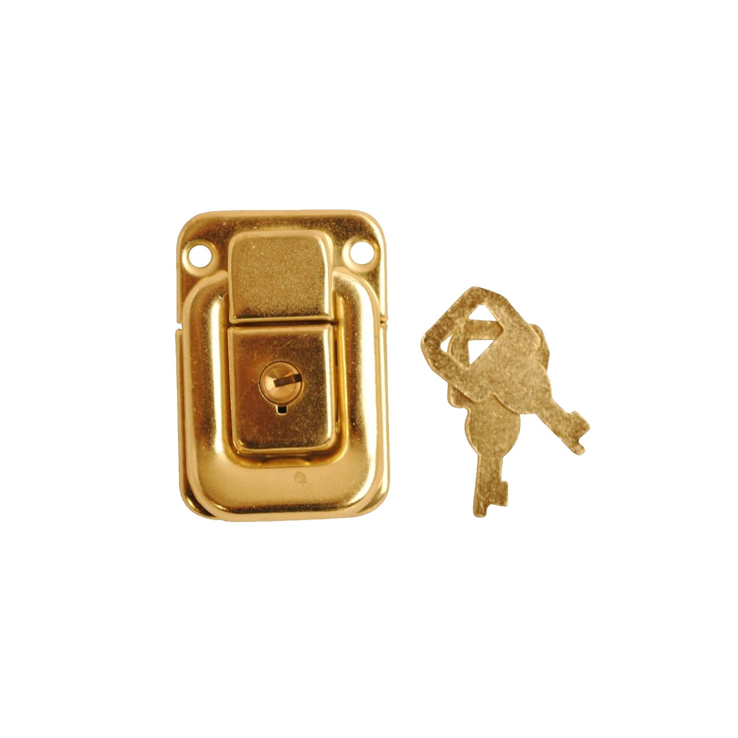 Case Locks