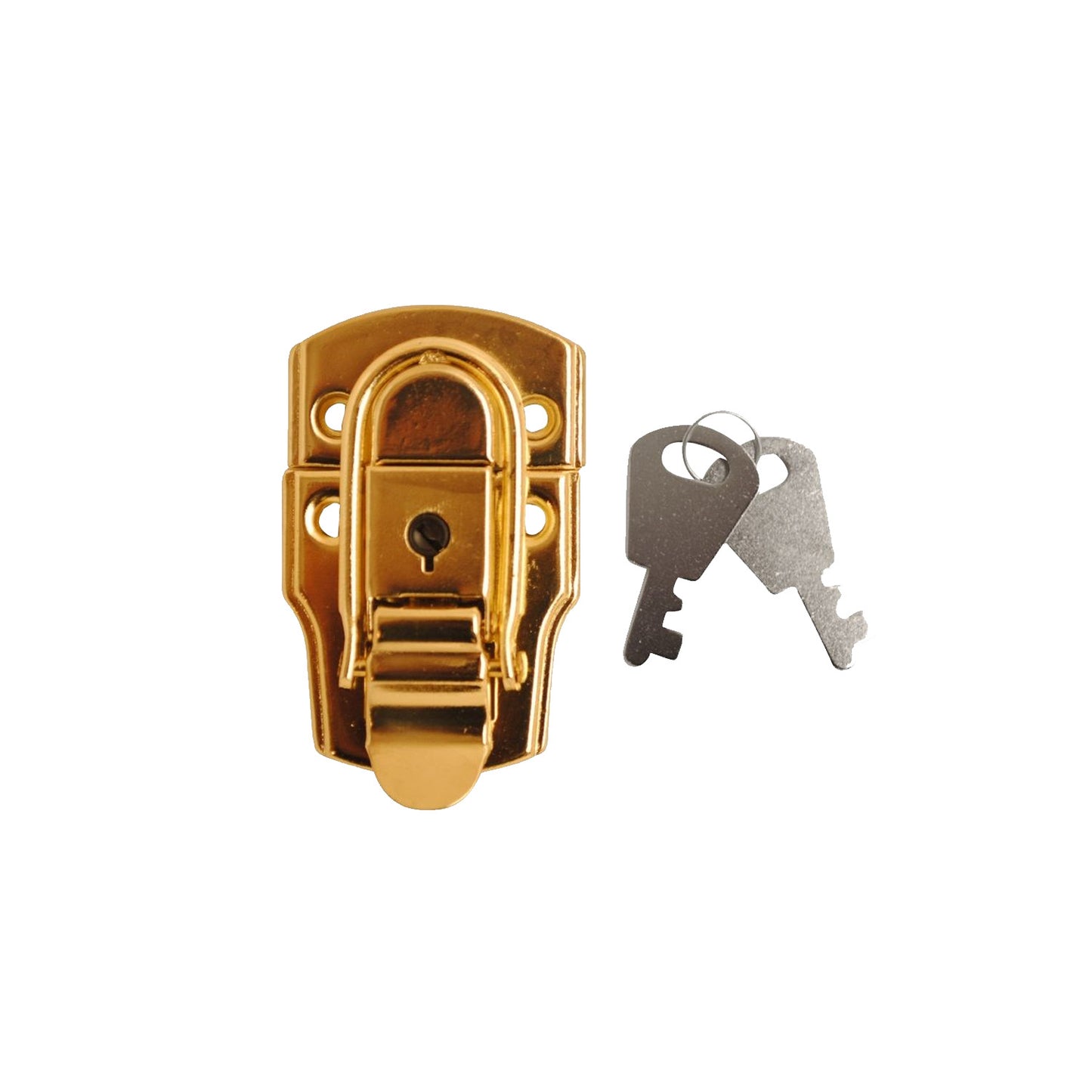 Case Locks