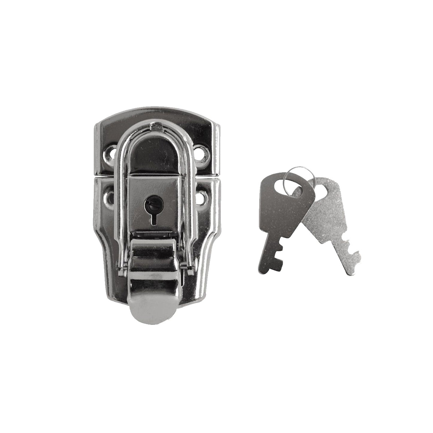 Case Locks