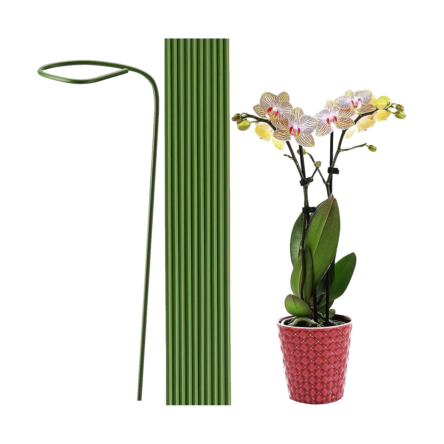Plant Accessories