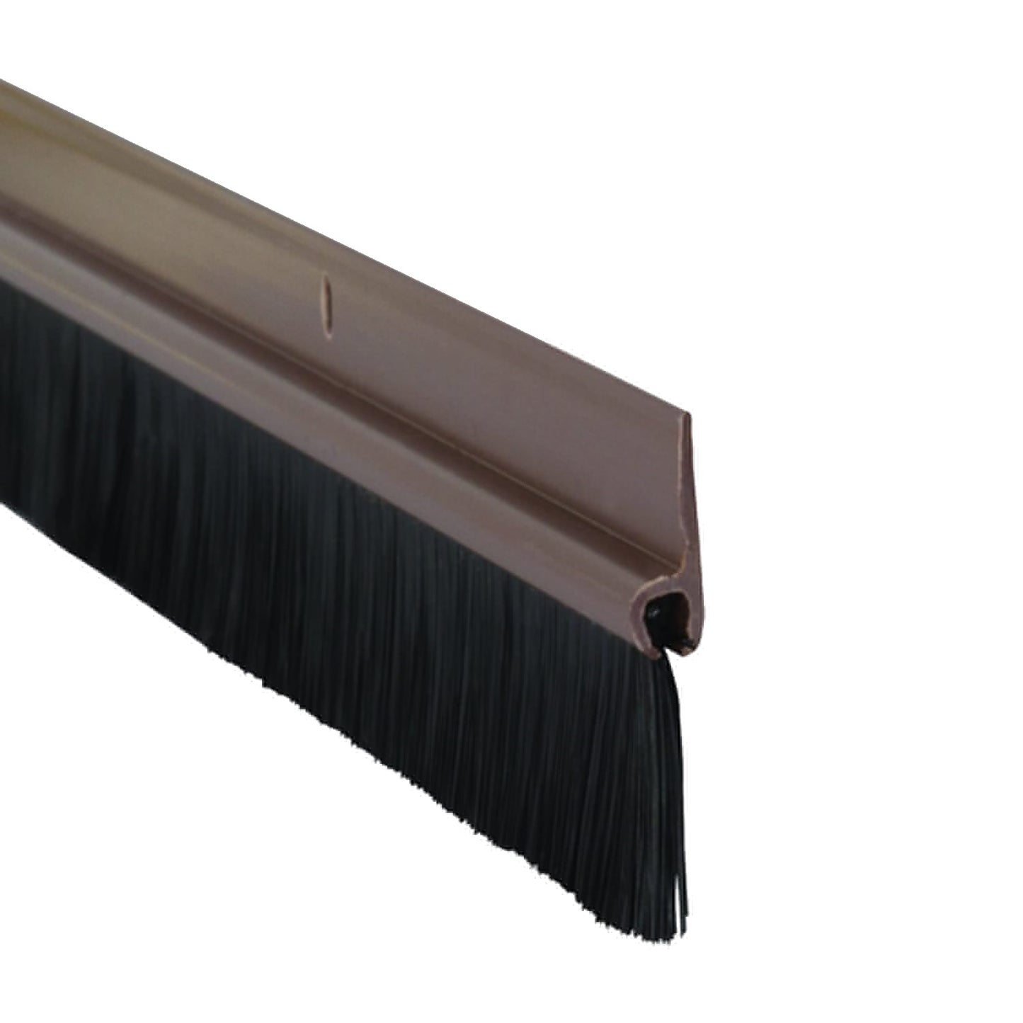 Bottom of the Door Brush