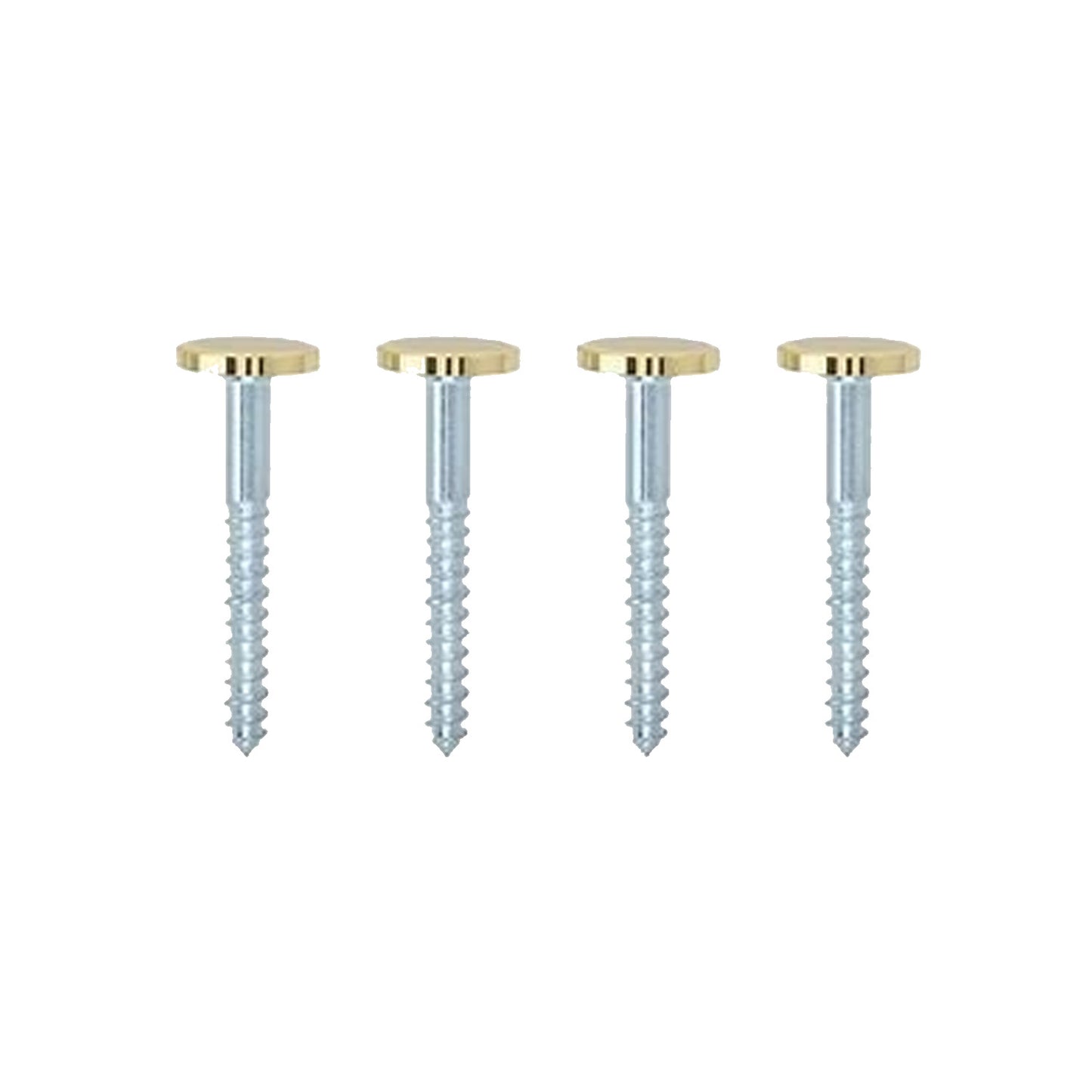 Mirror Screws with Disc Heads