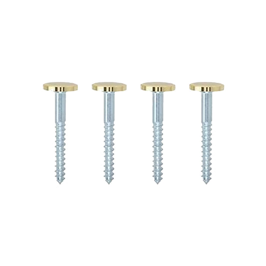 Mirror Screws with Disc Heads