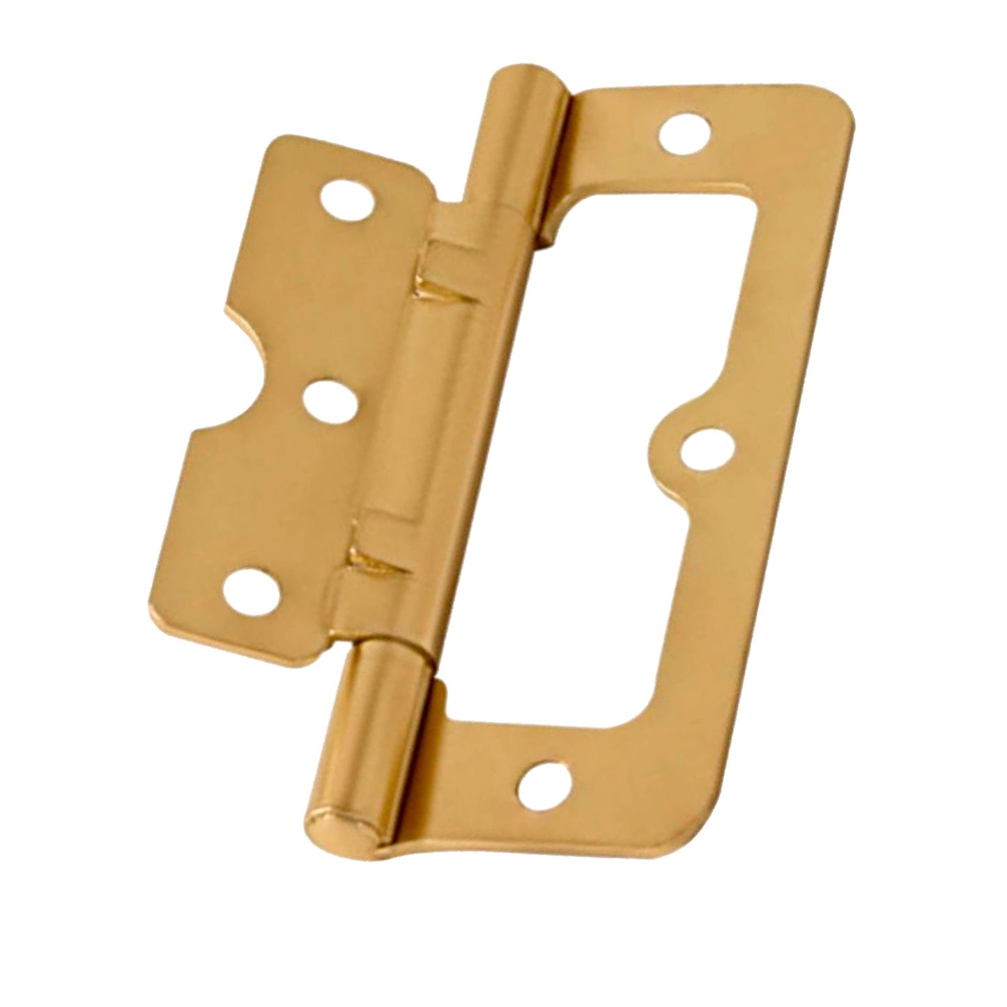 Flush Hinge (1 pair)