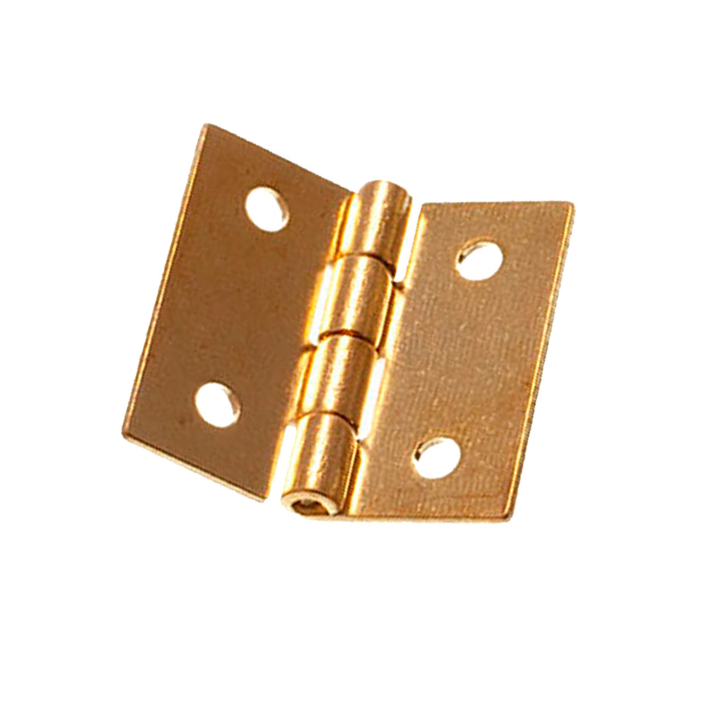 Mini Brass Hinges & Pins (1 pair)