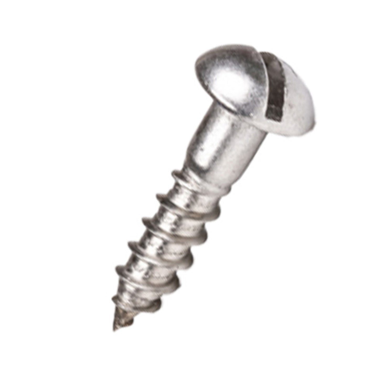 Slotted Round Woodscrews -Stainless Steel (Sold as singles)
